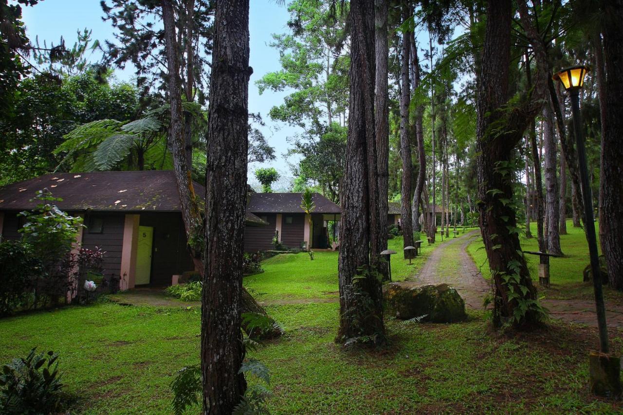 Eden Nature Park And Resort Davao Exterior foto